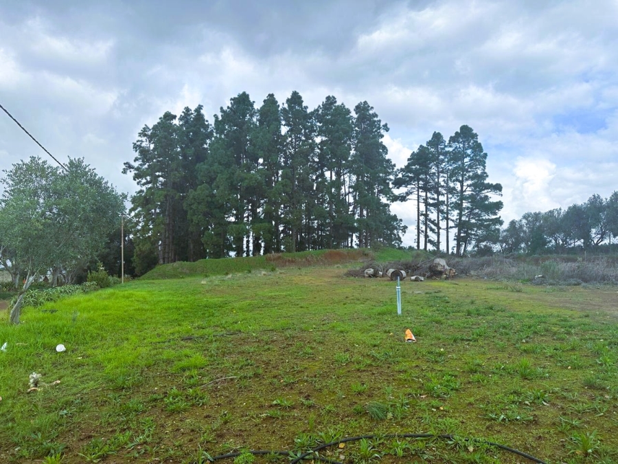 10 Bedroom Property for Sale in Stellenbosch Farms Western Cape
